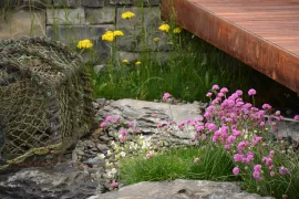 De beste zeewindbestendige planten voor tuin én balkon