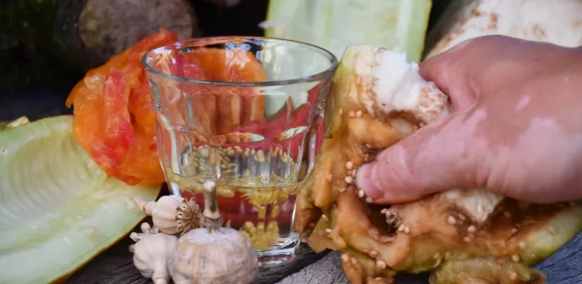 Groentezaden oogsten (met video)