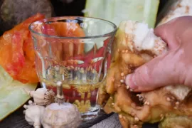 Groentezaden oogsten (met video)