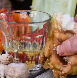 Groentezaden oogsten (met video)