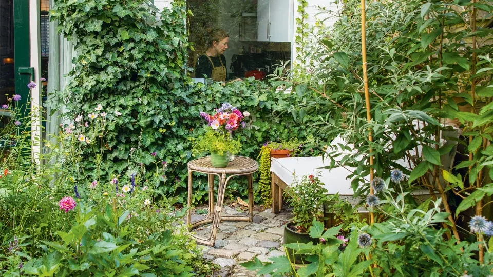 Afbeelding Wedstrijd Beste Levende Tuin 2026: kleine tuinen gezocht