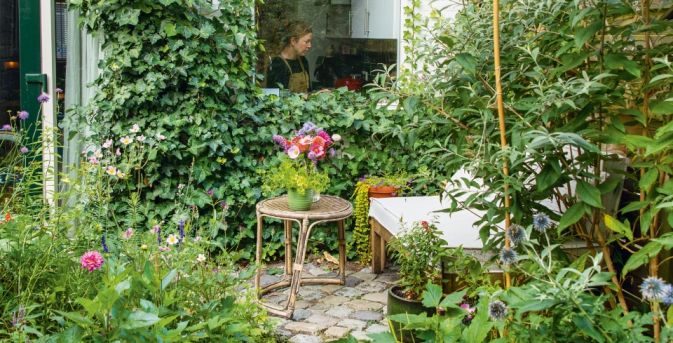 Wedstrijd Beste Levende Tuin 2026: kleine tuinen gezocht