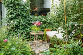 Wedstrijd Beste Levende Tuin 2026: kleine tuinen gezocht