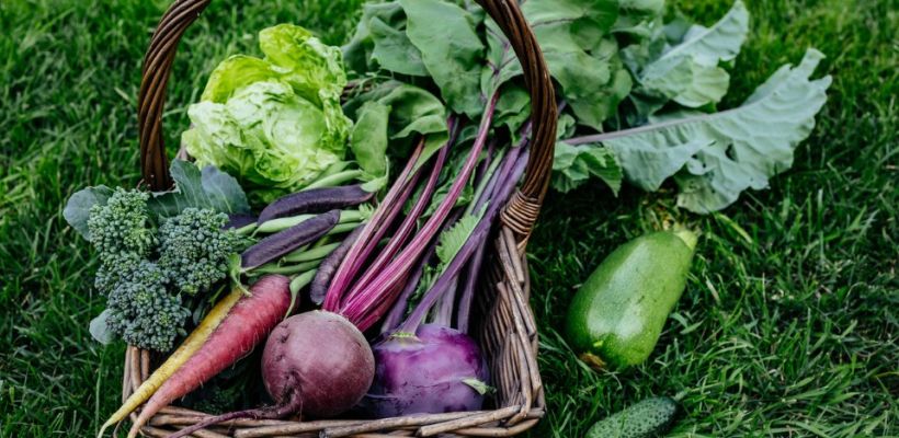 Moestuinchallenge 2026 ‘Trakteer een lunch’