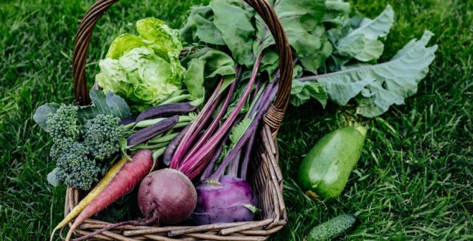 Moestuinchallenge 2026 ‘Trakteer een lunch’