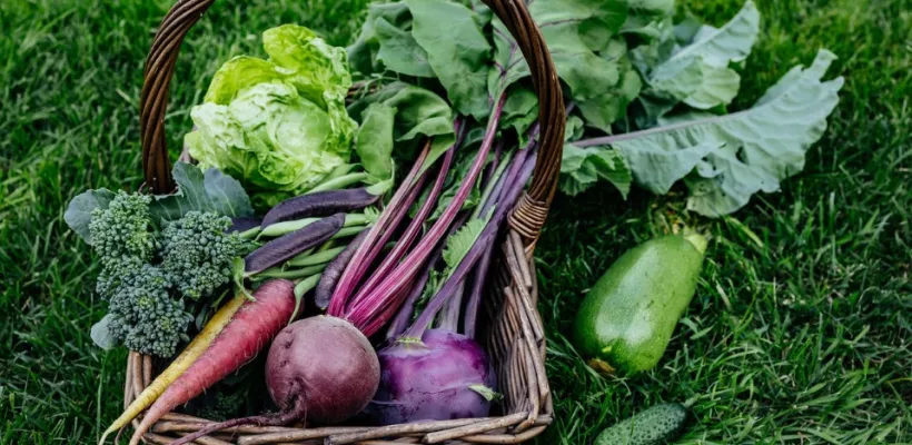 Moestuinchallenge 2026 ‘Trakteer een lunch’