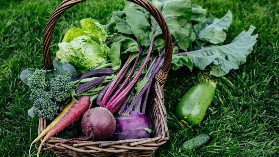 Afbeelding Moestuinchallenge 2026 ‘Trakteer een lunch’