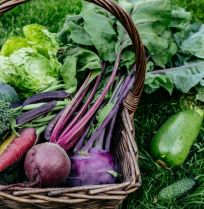 Moestuinchallenge 2026 ‘Trakteer een lunch’