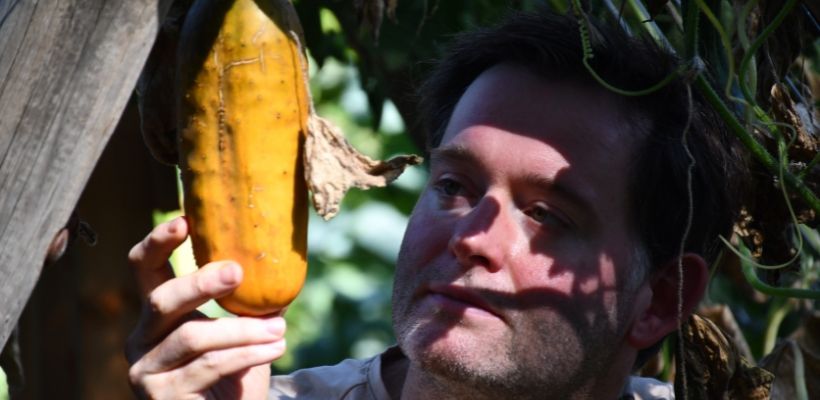 Moestuin in september: oogsten, plukken en stekken