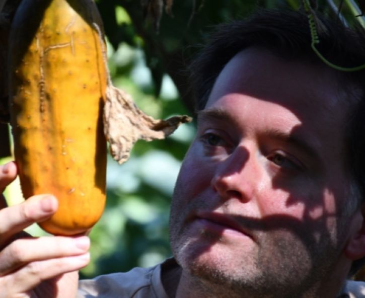 Moestuin in september: oogsten, plukken en stekken