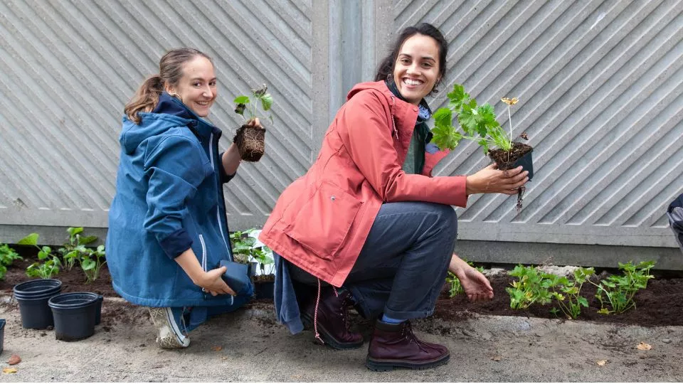 Afbeelding Plant je mee? Dit najaar is er genoeg te doen in de tuin!