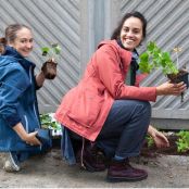 Plant je mee? Dit najaar is er genoeg te doen in de tuin