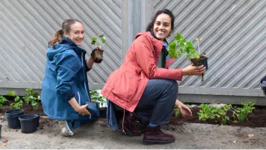 Plant je mee? Dit najaar is er genoeg te doen in de tuin