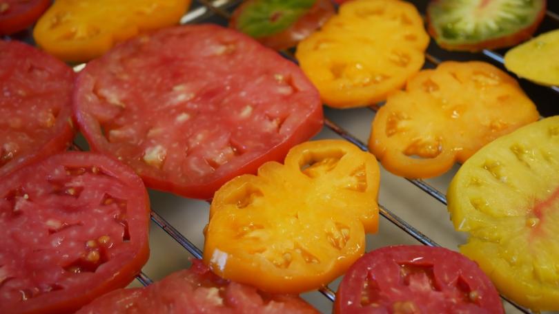 Zomer op tafel: kleurrijke tomatentaart