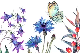 Planten voor een levende tuin