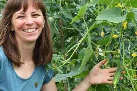 Kweek je eigen augurk (Cucumis sativa)