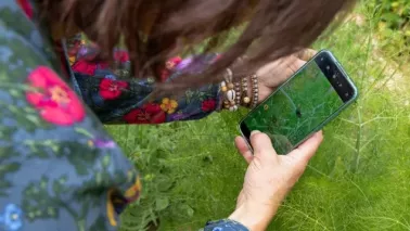 Groei & Bloei Bioblitz 2026: ontdek de biodiversiteit in je eigen tuin