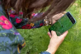 Groei & Bloei Bioblitz 2026: ontdek de biodiversiteit in je eigen tuin