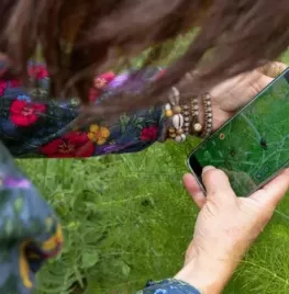 Groei & Bloei Bioblitz 2026: ontdek de biodiversiteit in je eigen tuin