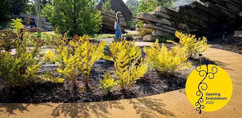 Hoe lang bestaan bloeiende planten op aarde?