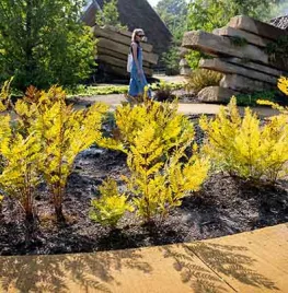 Hoe lang bestaan bloeiende planten op aarde?