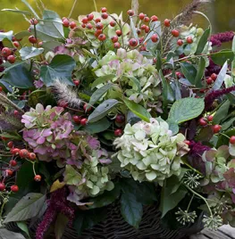 Herfstmand uit eigen tuin