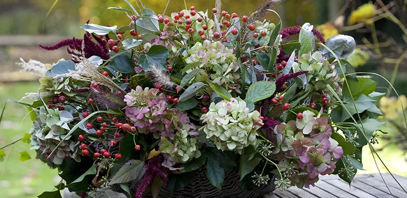 Herfstmand uit eigen tuin