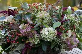 Herfstmand uit eigen tuin