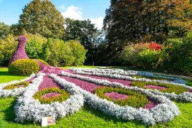Geniet van de nazomer in de tuinen van Kasteeltuinen Arcen