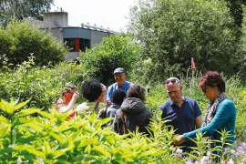 Groei & Bloei opentuinenweekend 2026