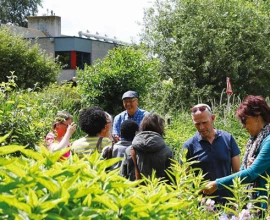 Groei & Bloei opentuinenweekend 2026