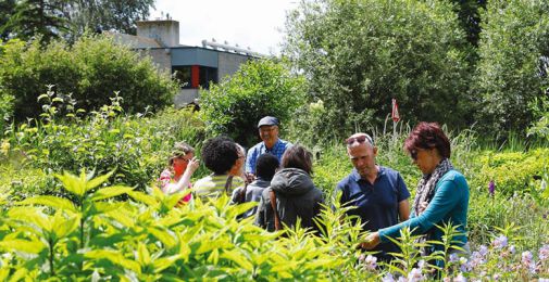 Groei & Bloei Nationale Tuinweek 2023 met Open Tuinen Weekend