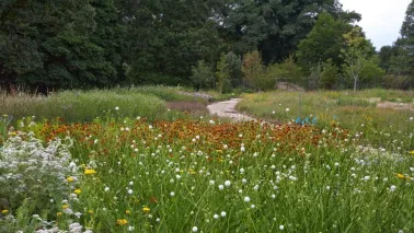 Piet Oudolf (81) is niet te stoppen: nieuwe tuin geopend in New York