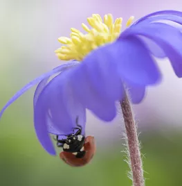 Maak jij de perfecte foto voor de G&B agenda 2026?