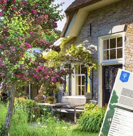 Snoei & Groei kalender: ontdek wanneer en hoe je bomen en struiken snoeit