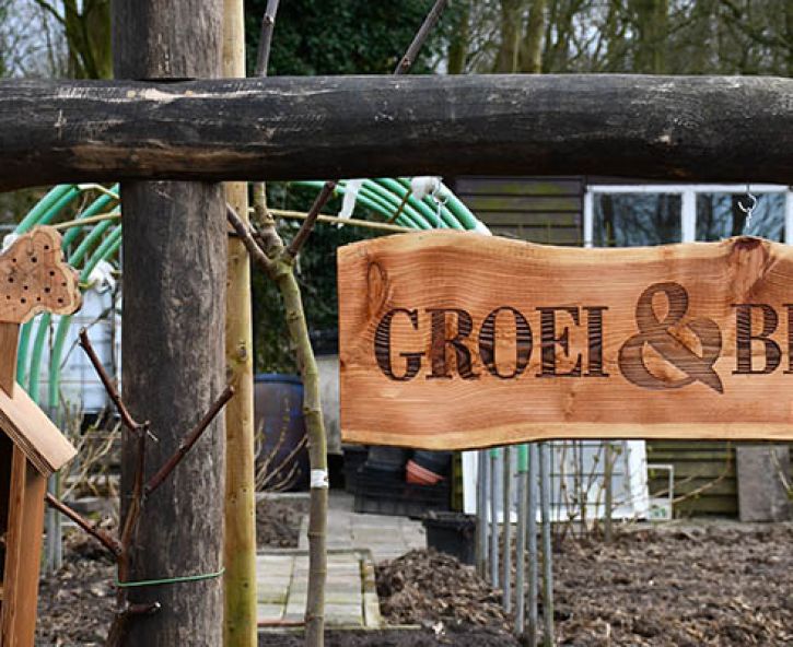 Nieuw: een jaar in de Groei & Bloei moestuin met Robbert Lauret