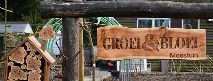Nieuw: een jaar in de Groei & Bloei moestuin met Robbert Lauret