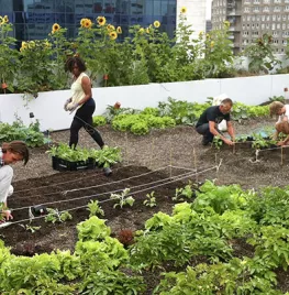 Bezoek een moestuin!