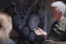 Wat is biodiversiteit en hoe draag je er aan bij in je tuin? (video)