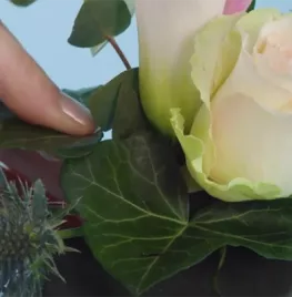 De basis, blad op draad zetten (video)