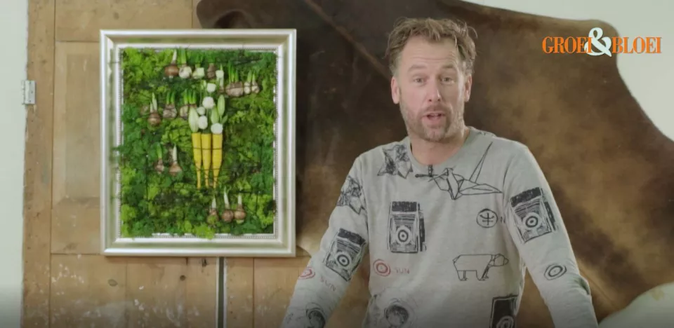 Afbeelding Alle bollen ... aan de muur! (video)