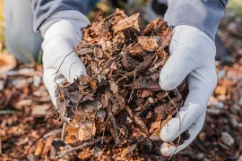 Bedek de bodem voor een gezond evenwicht