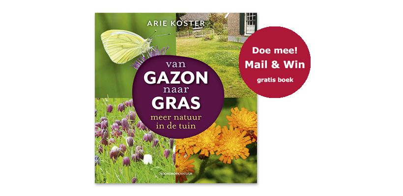 Win het boek Van gazon naar gras