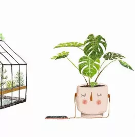 De beste tuinpodcasts