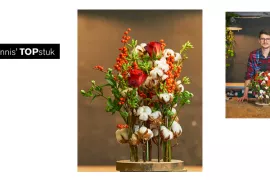 Boomstam met eucalyptusbessen door Dennis Lanzaat (video)