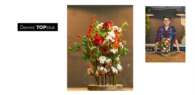 Boomstam met eucalyptusbessen door Dennis Lanzaat (video)