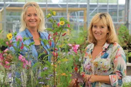 Zaad bestellen van vroege eenjarigen