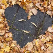 Najaar: prima plantseizoen