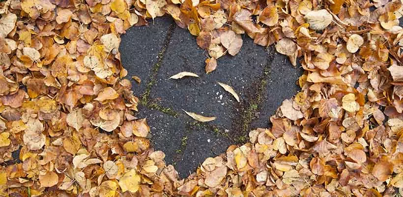 Najaar: prima plantseizoen