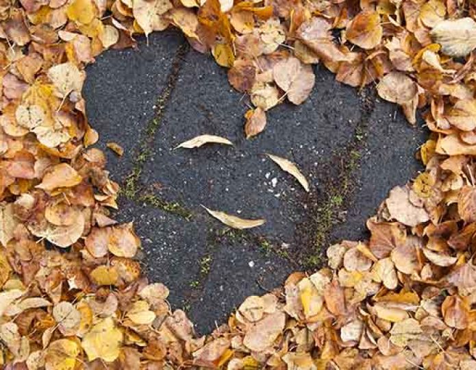 Najaar: prima plantseizoen